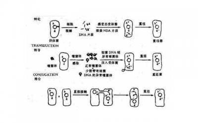 ​怎样挽回老婆的，如何用真心挽回老婆的心?